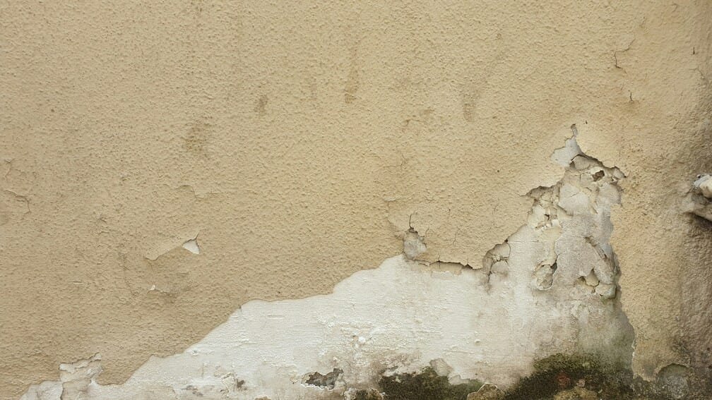 damp wall