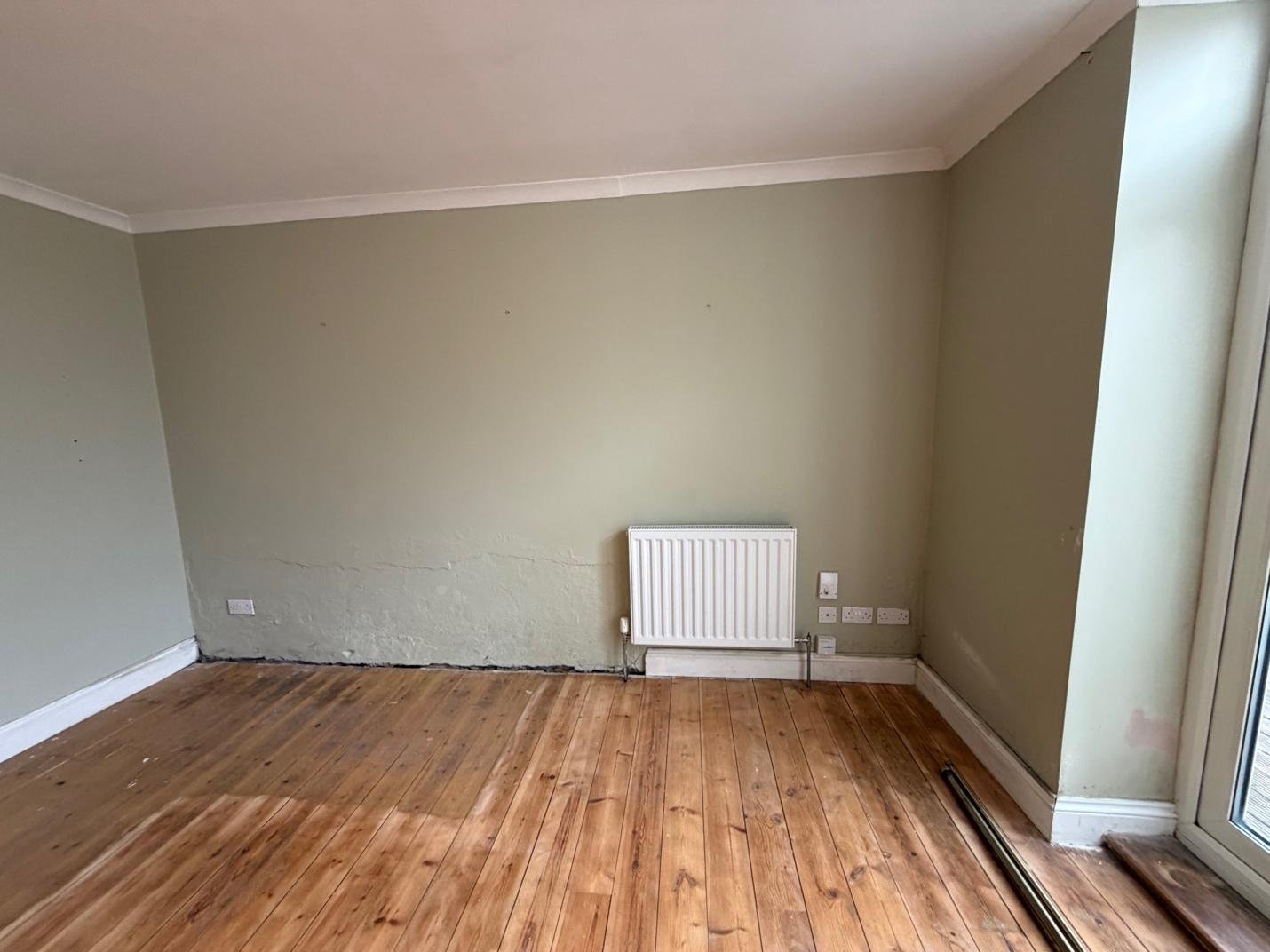 Environmental & Structural Damp Survey in Anerley (SE20)