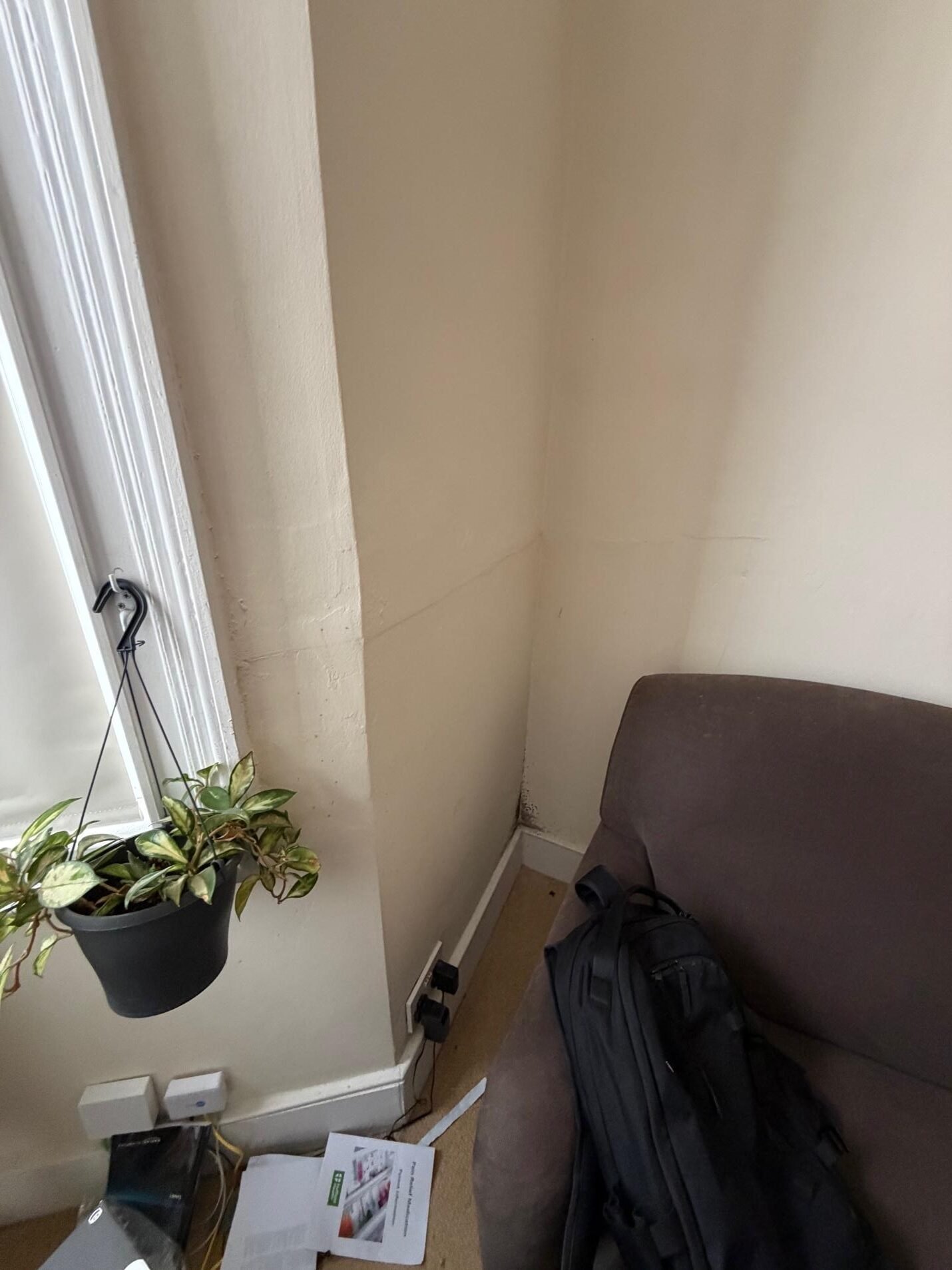 Level 3 Damp Survey in South Lambeth (SW8)