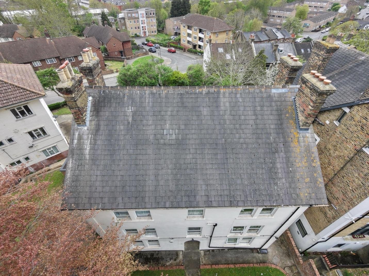 Level 3 Damp Survey in Anerley (SE20)
